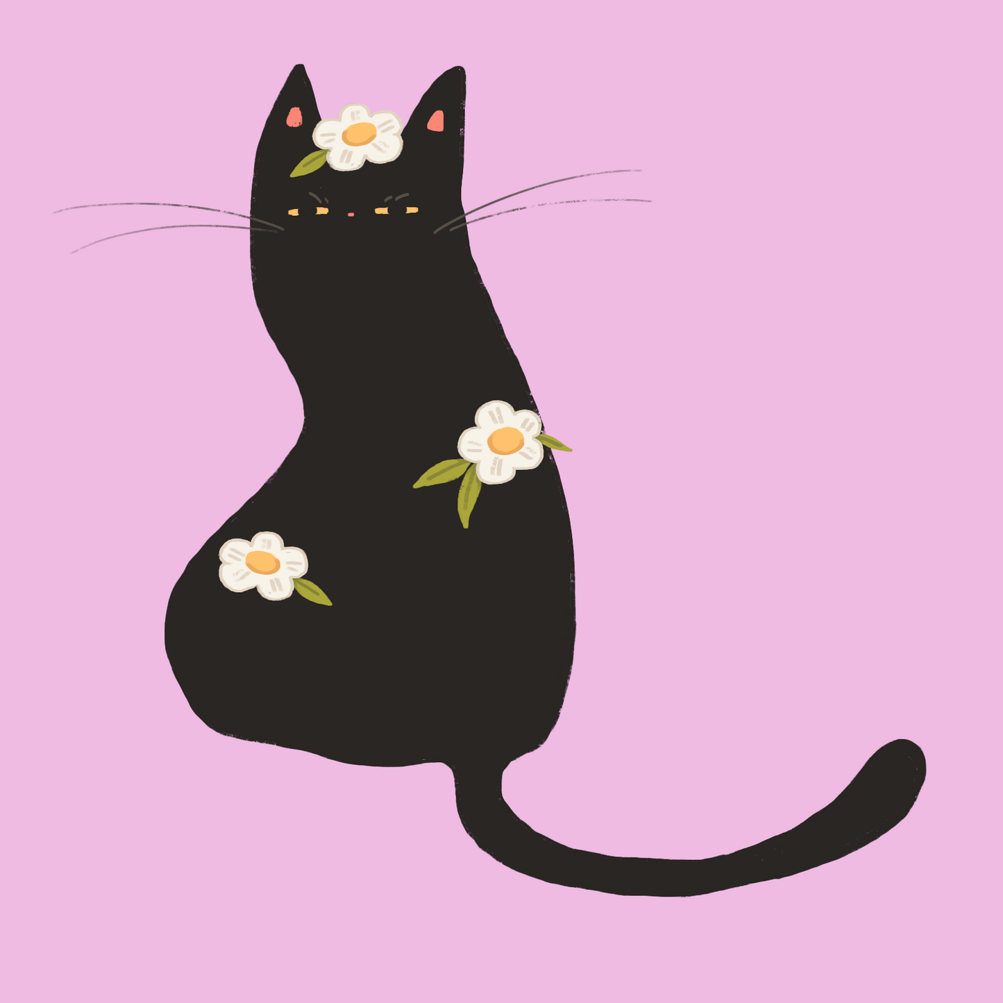 Black Cat